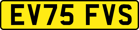 EV75FVS