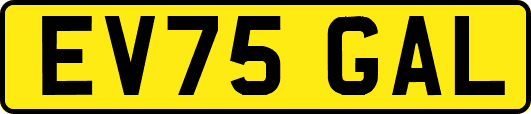 EV75GAL
