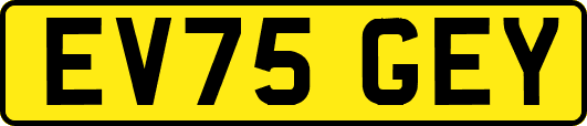EV75GEY