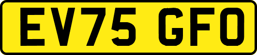 EV75GFO