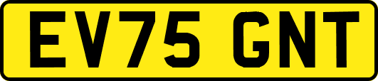 EV75GNT