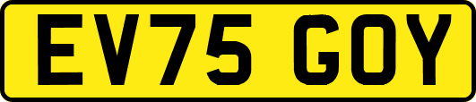EV75GOY