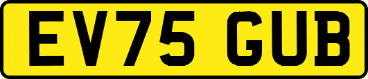 EV75GUB