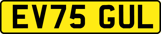 EV75GUL