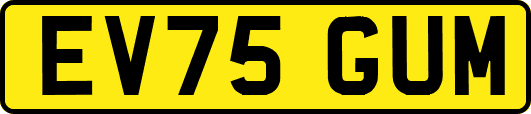 EV75GUM
