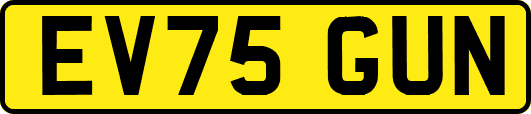 EV75GUN
