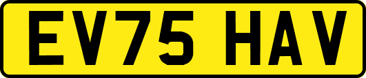 EV75HAV