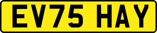 EV75HAY