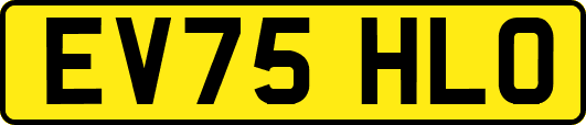 EV75HLO