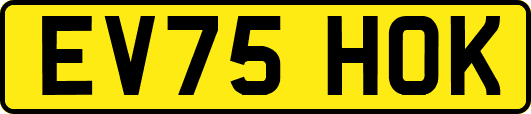 EV75HOK
