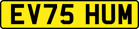 EV75HUM