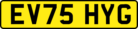 EV75HYG