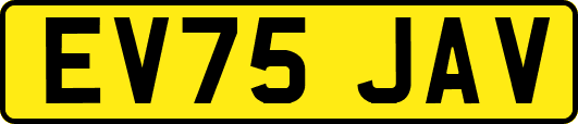 EV75JAV