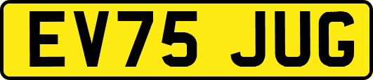 EV75JUG