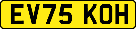 EV75KOH