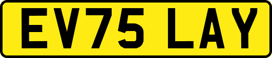 EV75LAY