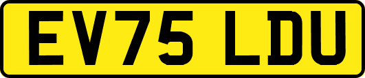 EV75LDU