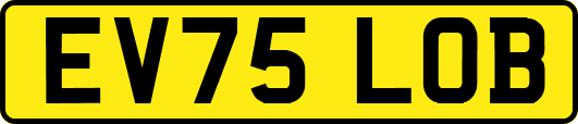 EV75LOB