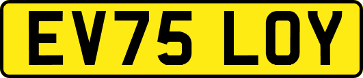 EV75LOY