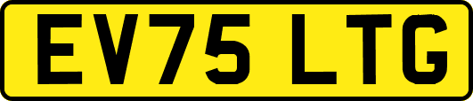 EV75LTG