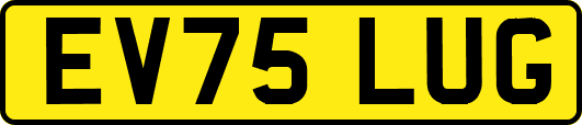 EV75LUG