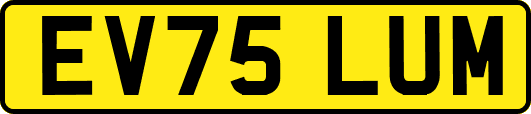 EV75LUM