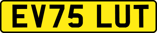 EV75LUT