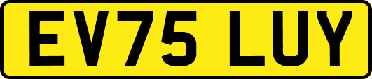 EV75LUY