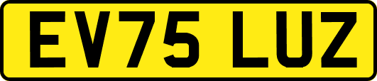 EV75LUZ
