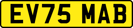 EV75MAB