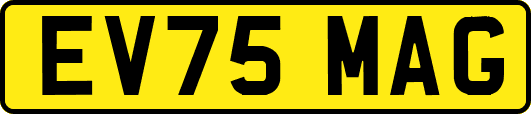 EV75MAG