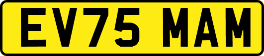 EV75MAM