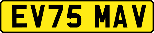 EV75MAV