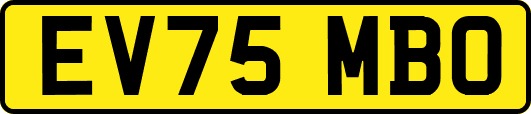 EV75MBO