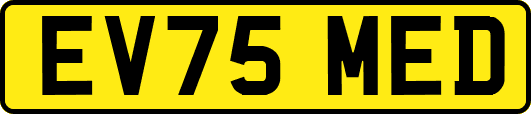 EV75MED