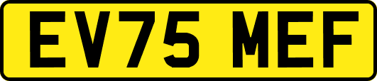 EV75MEF