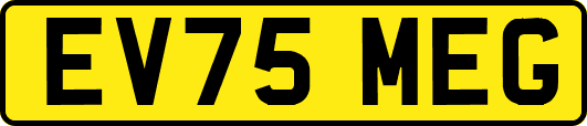 EV75MEG