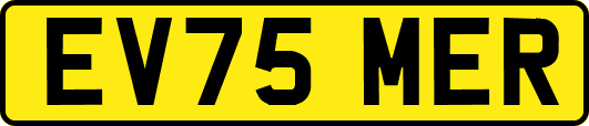 EV75MER