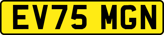 EV75MGN