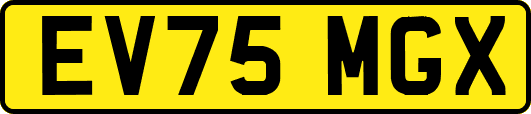 EV75MGX