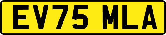 EV75MLA