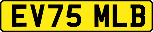EV75MLB