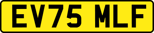 EV75MLF