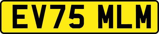 EV75MLM