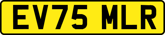 EV75MLR