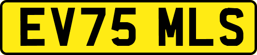 EV75MLS