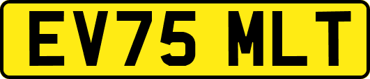 EV75MLT