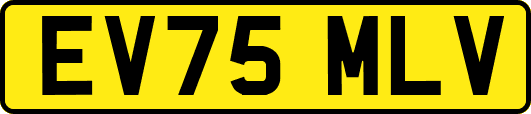 EV75MLV