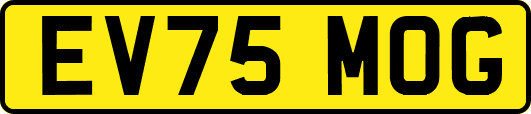 EV75MOG