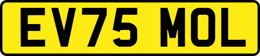 EV75MOL